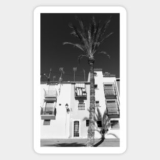 Black and image of typical Mediterranean apartments with tall palm Sticker